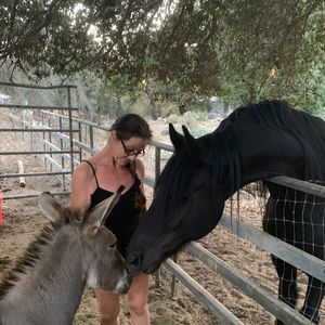 Meet your Posher, Paulette